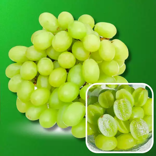 trái cây nhập khẩu