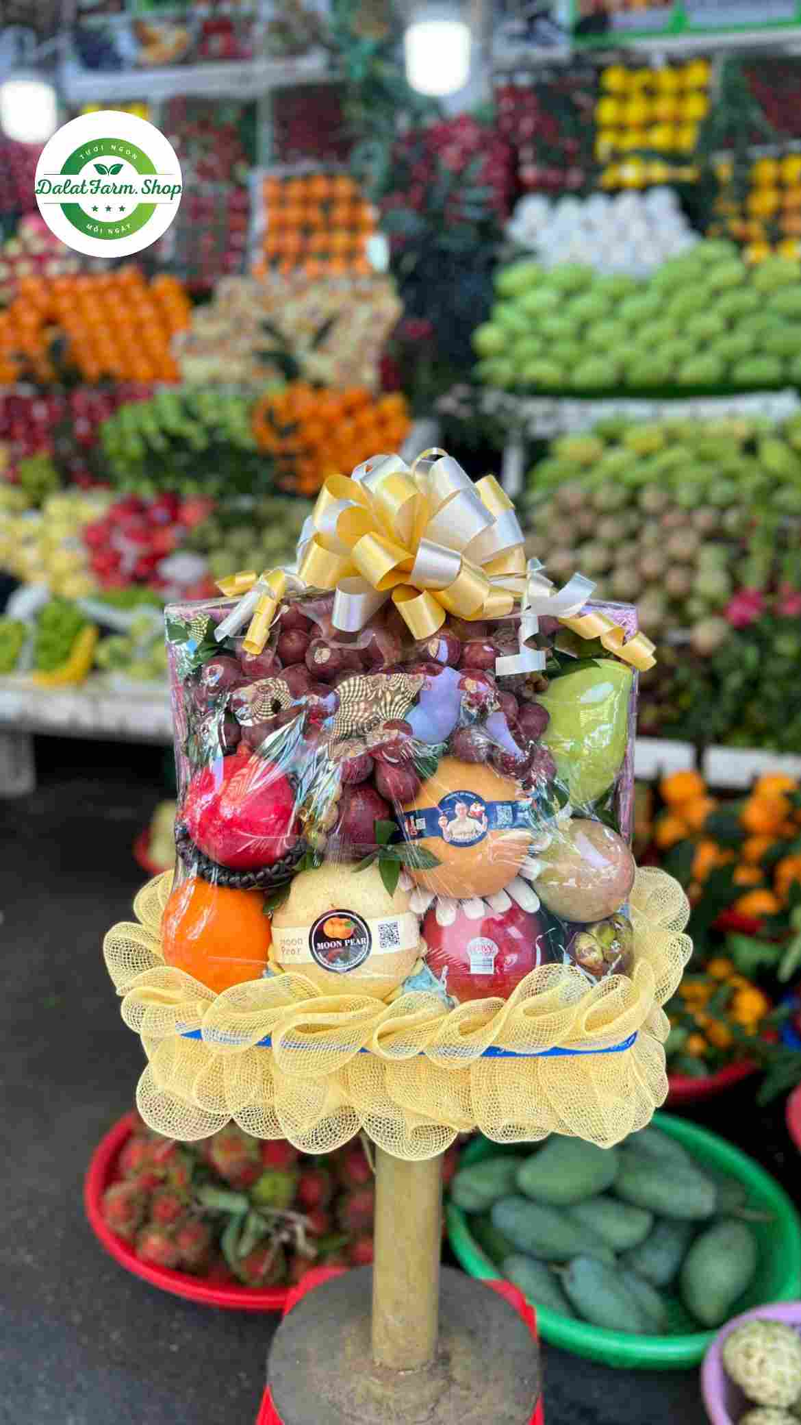 trái cây nhập khẩu