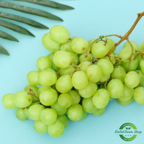 nho_xanh_my