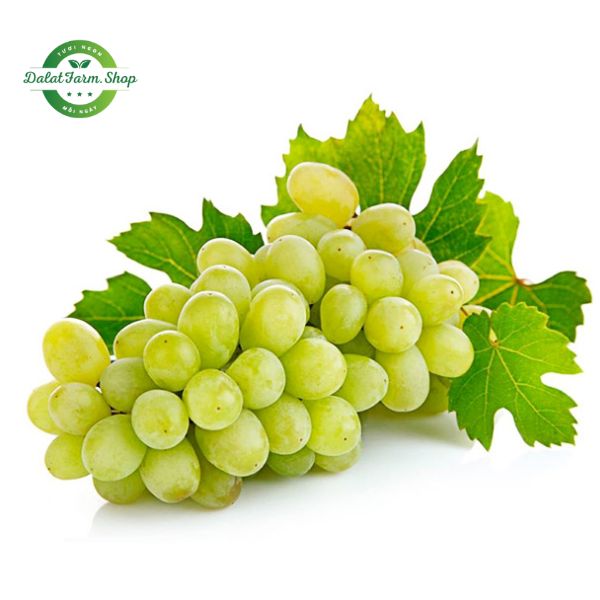 Nho xanh Autumn Crisp