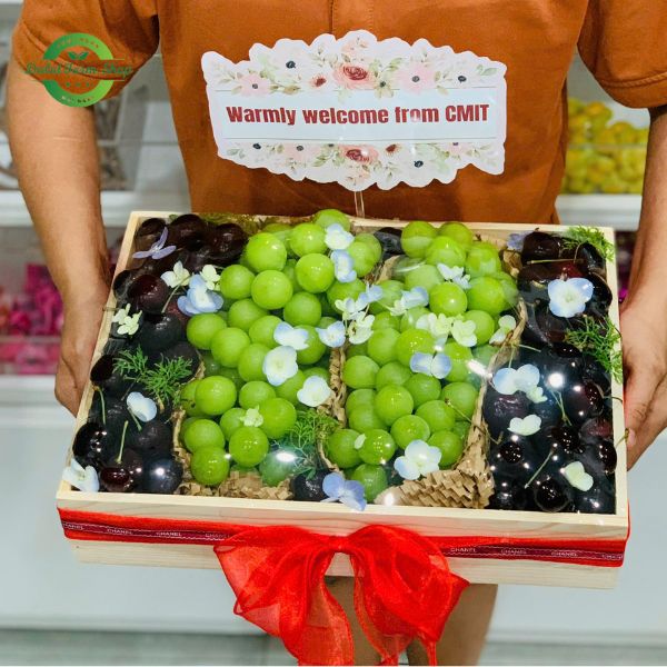 hop-go-trai-cay-nhap-khau-no-do