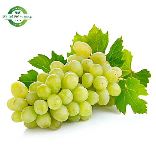 nho_xanh_my