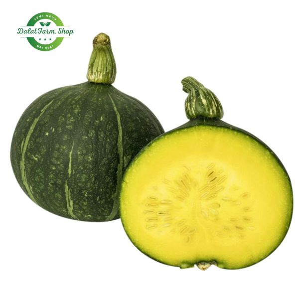 bi_do_huu_co_giong_nhat