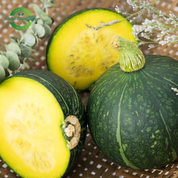 bi_do_huu_co_giong_nhat