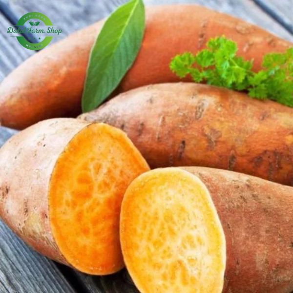 khoai_lang_mat_da_lat