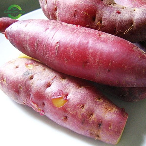 khoai_lang_nhat_da_lat