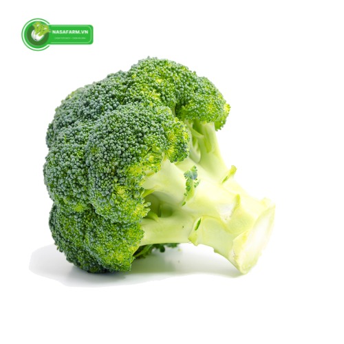 bong-cai-baby-tuoi-xanh