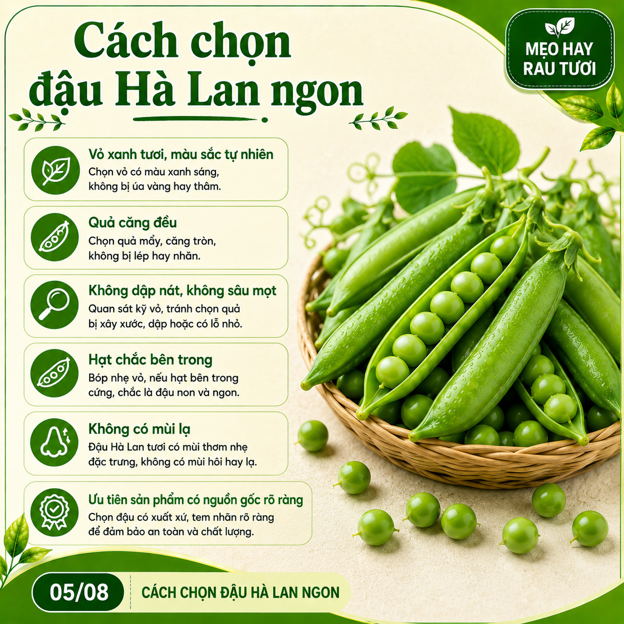 cách chọn đậu hà lan ngon 