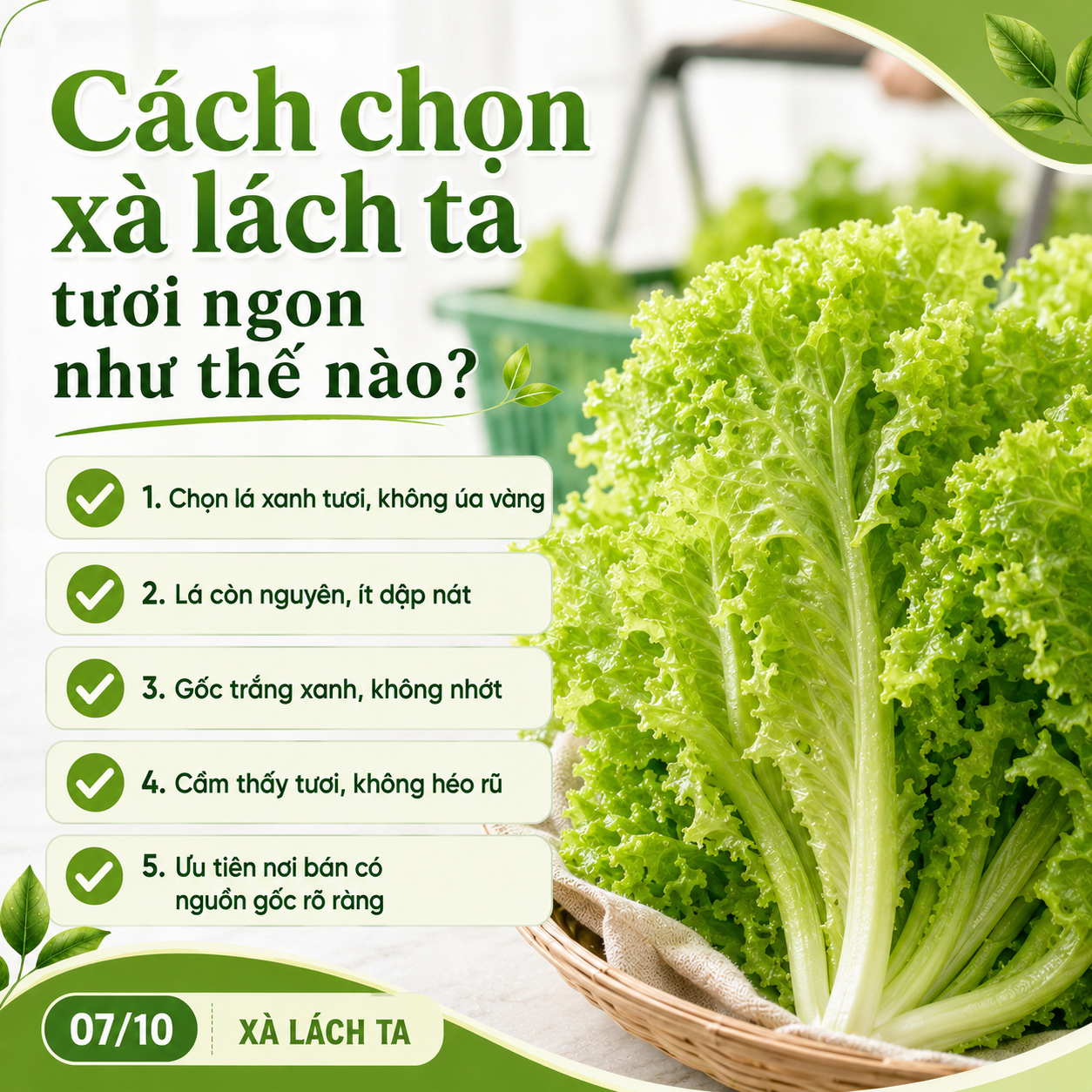 cach-chon-xa-lach-ta-tuoi-ngon
