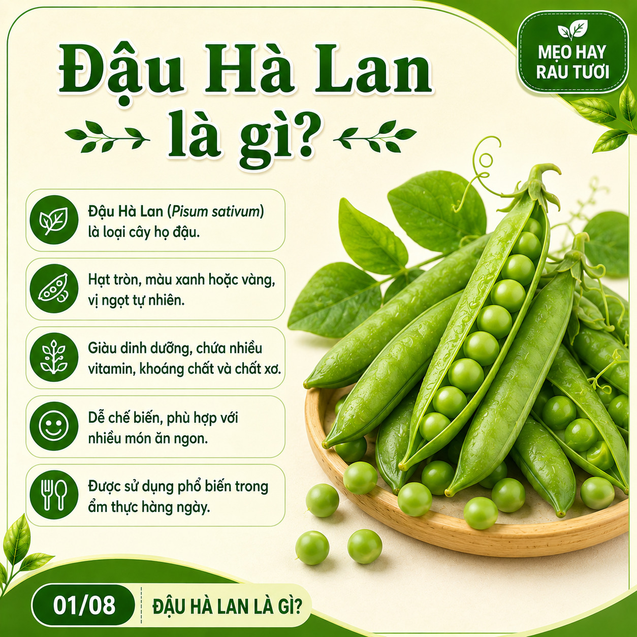 đậu hà lan
