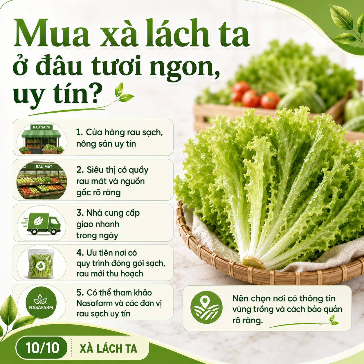mua-xa-lach-ta-tuoi-ngon