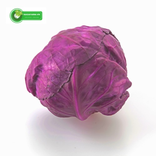 nguon-goc-bap-cai-tim