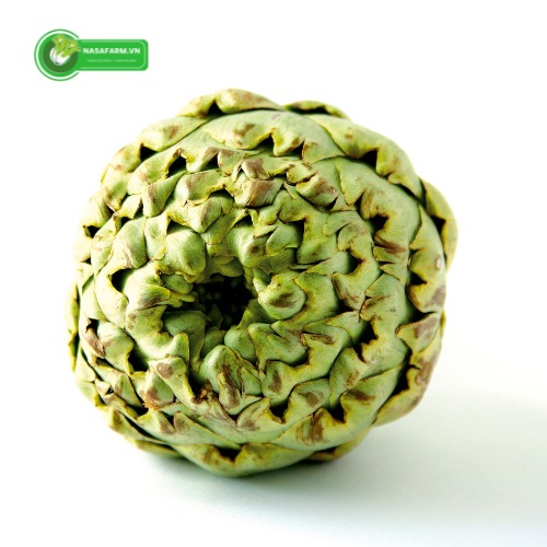 tac-dung-cua-bong-atiso