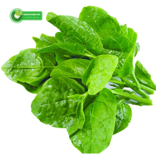 thanh-phan-dinh-duong-rau-mong-toi