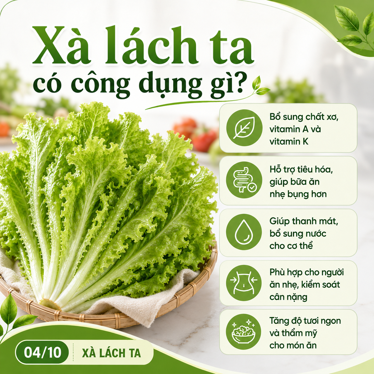 xa-lach-ta-co-cong-dung-gi
