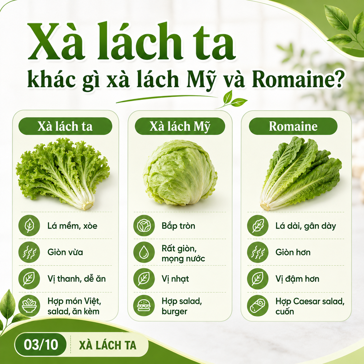 xa-lach-ta-khac-gi-nhau