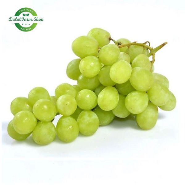 nho_xanh