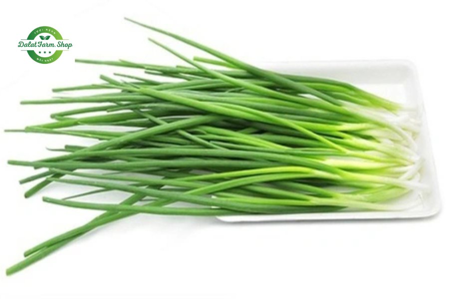 lợi ích hành lá hữu cơ 