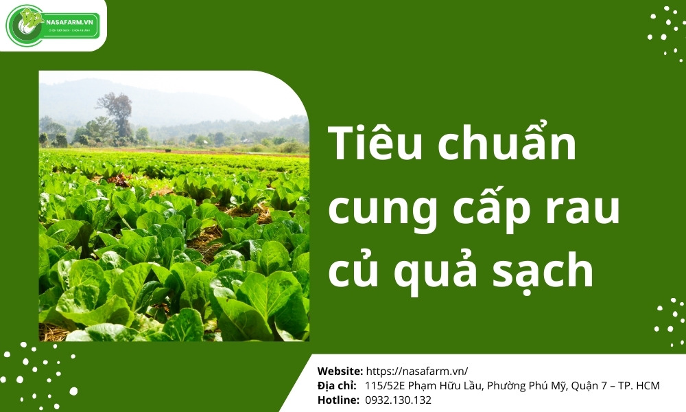 Tiêu chuẩn cung cấp rau củ quả cho nhà hàng