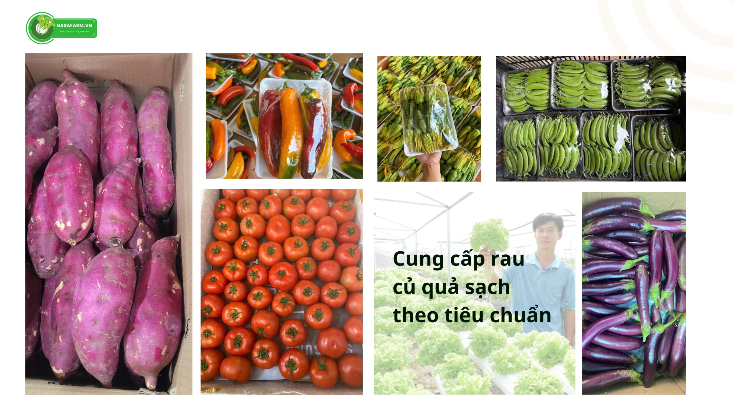 cung-cap-rau-cu-qua-gia-si-theo-teu-chuan