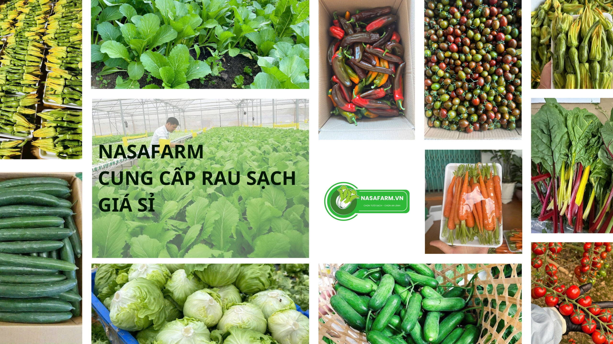 nasafarm-cung-cap-rau-cu-qua-gia-si