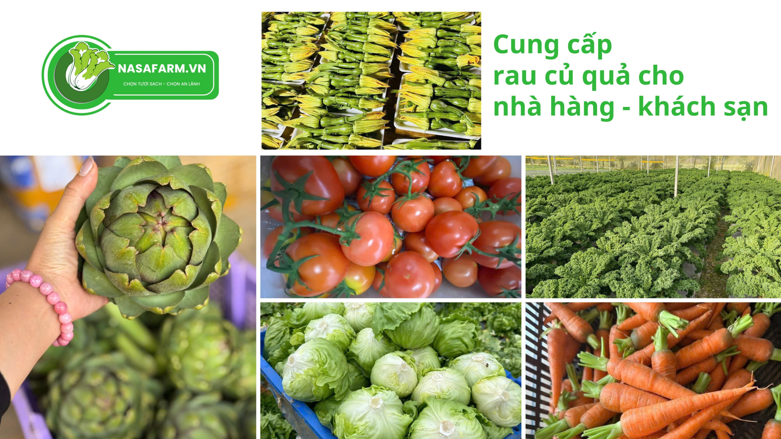 nguon-cung-cap-rau-cu-qua-gia-si-cho-nha-hang-khach-san