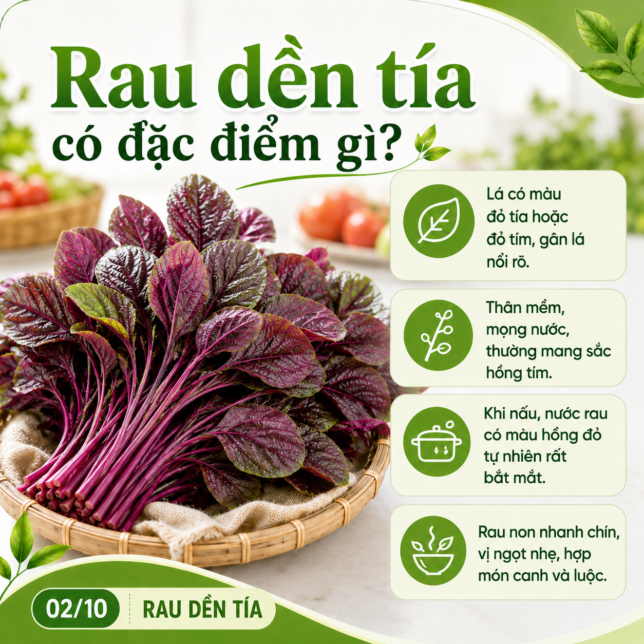 den-tia-co-dac-diem-gi