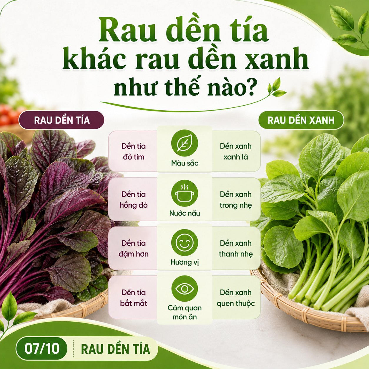rau-den-tia-khac-rau-den-xanh-nhu-the-nao