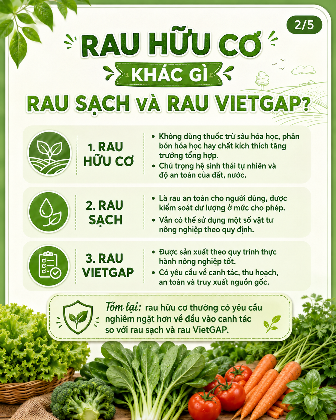 rau-huu-co-khac-nhau-nhu-the-nao