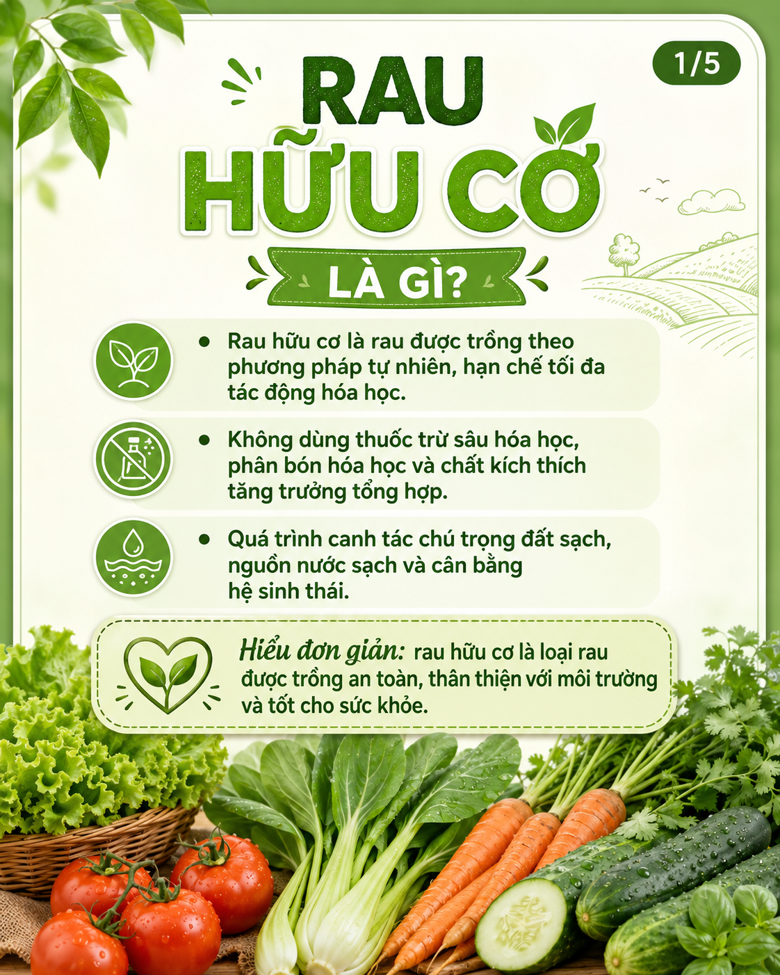 rau-huu-co-la-gi