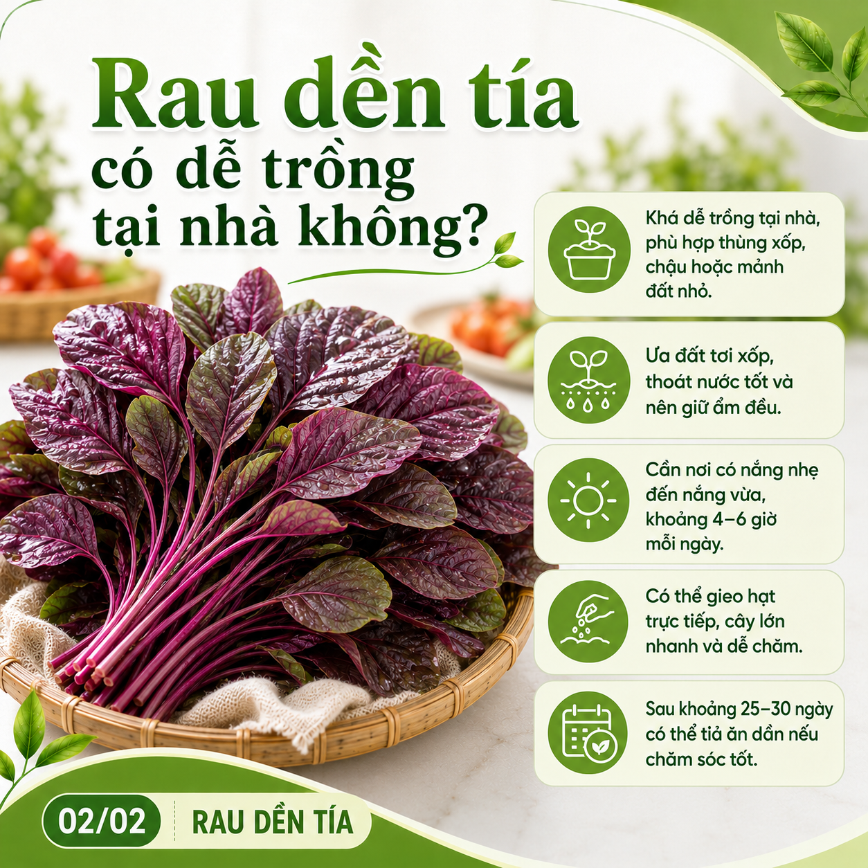 trong-rau-den-tia-tai-nha