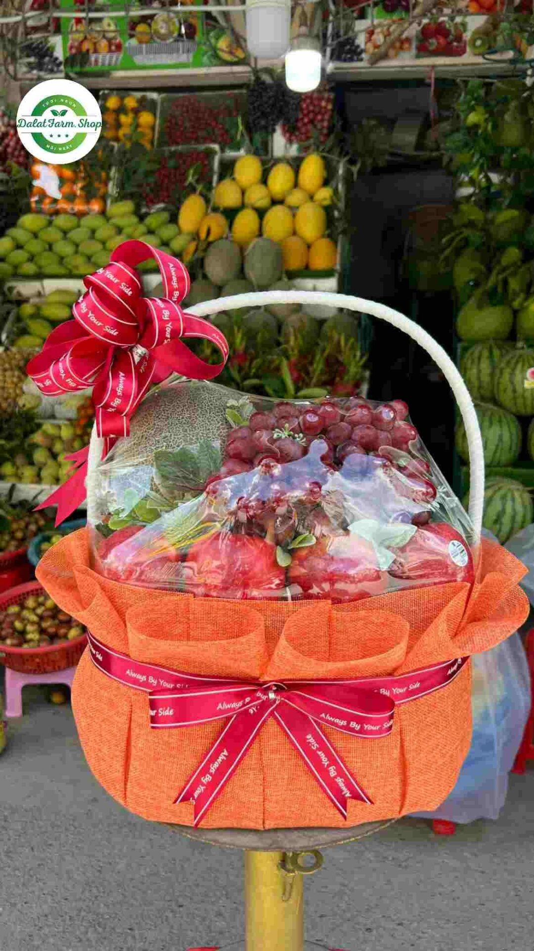 trái cây Việt Nam