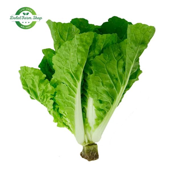 cai_be_dun_thuy_canh