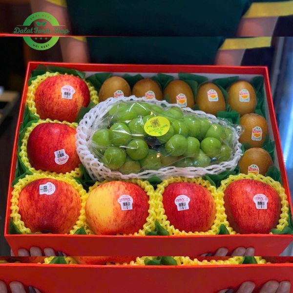 hop_qua_trai_cay_vuong