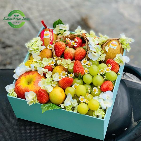 hop_qua_trai_cay_va_hoa_n01