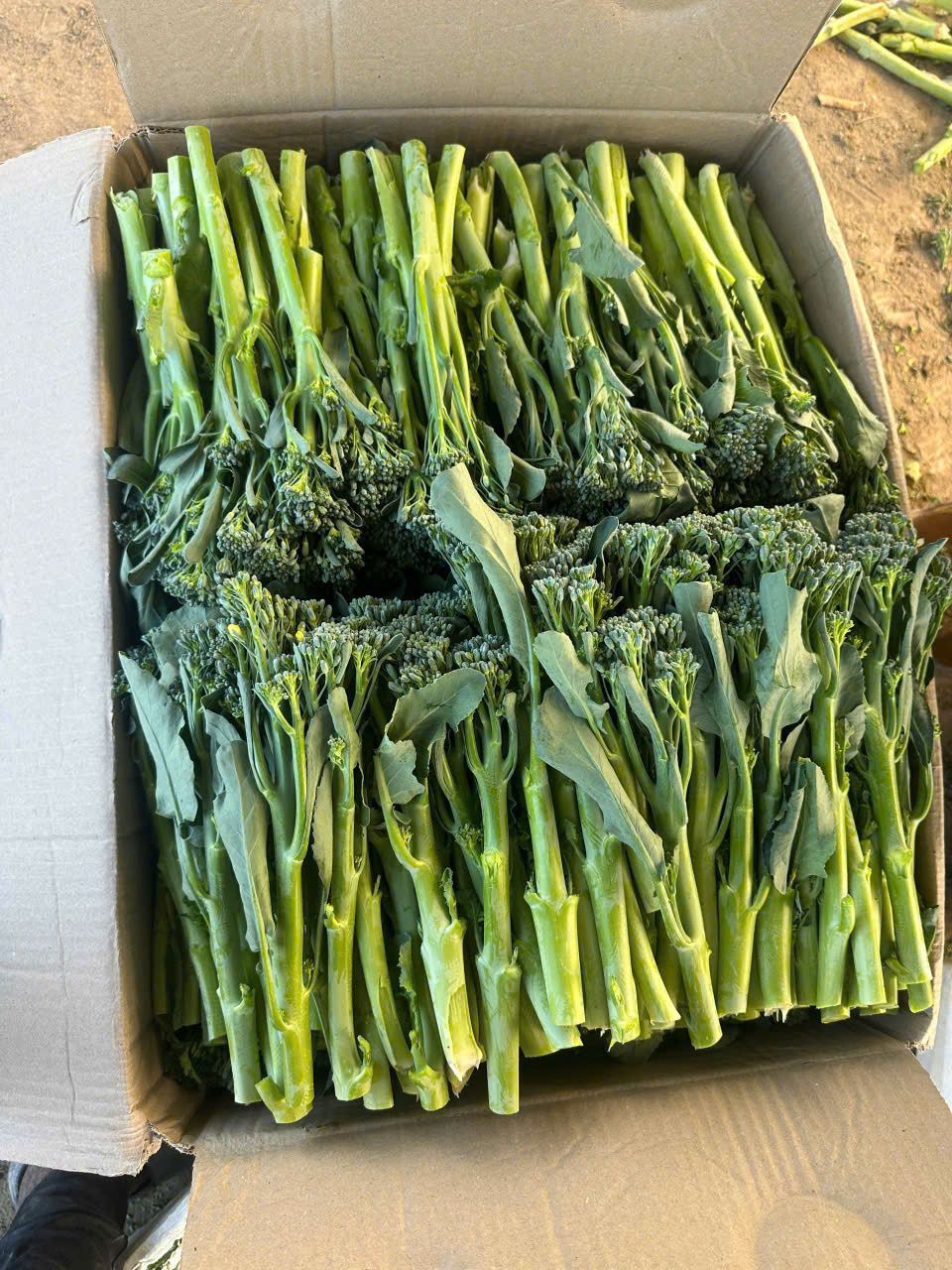 z7612161861840_fc848e7d345db2a3a82b6fd9faccf67d