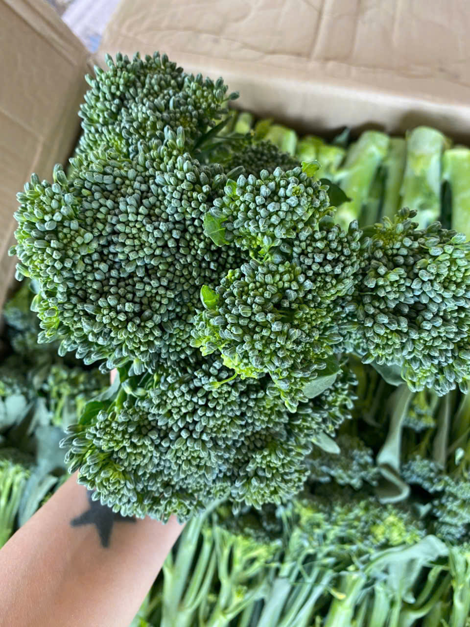 z7612161861844_d4fa9319db6ff4ef3f2b51330723a75f