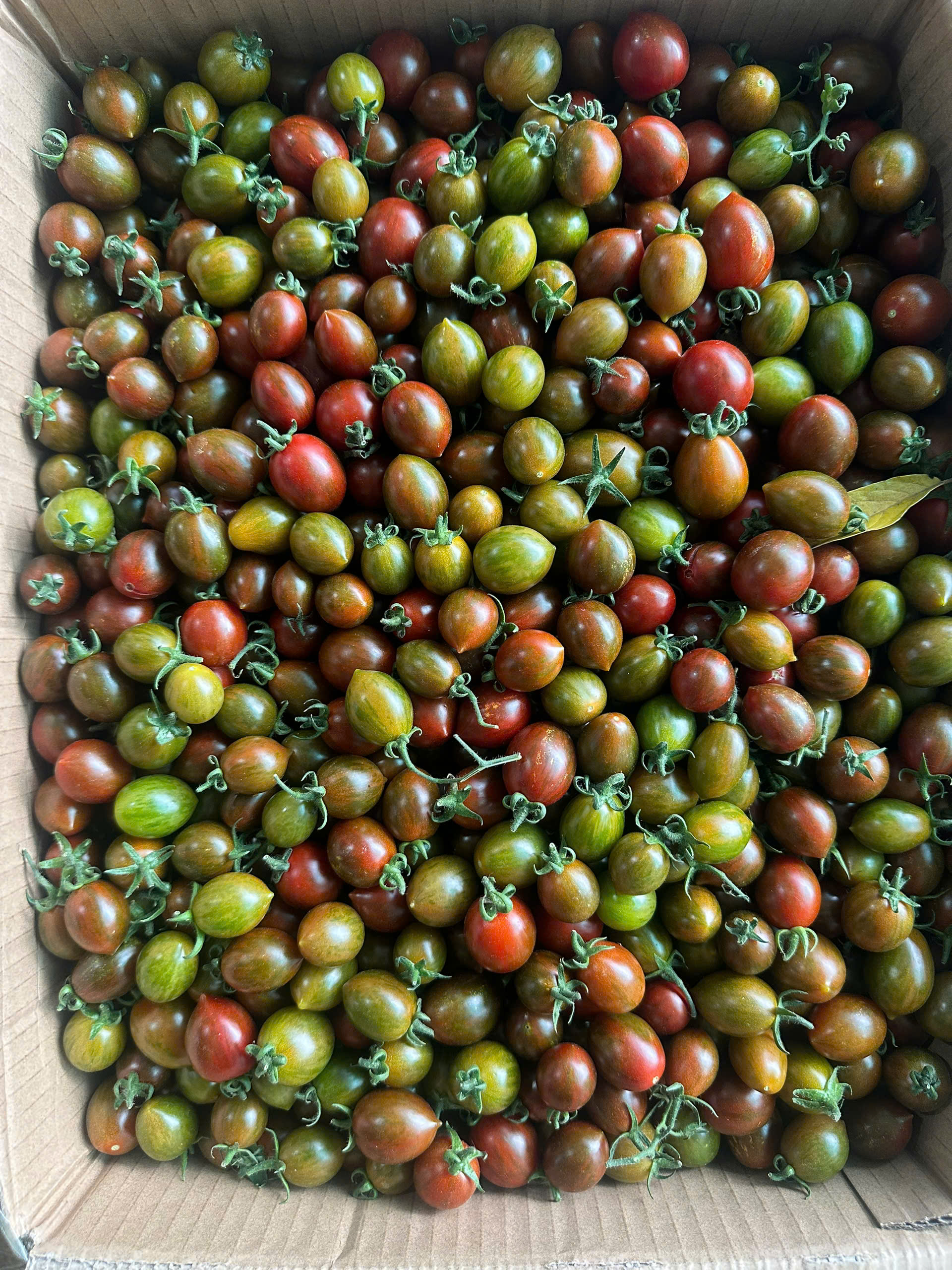 z7612162581622_03cfbae61baec097ce0ab3b56a5499ce