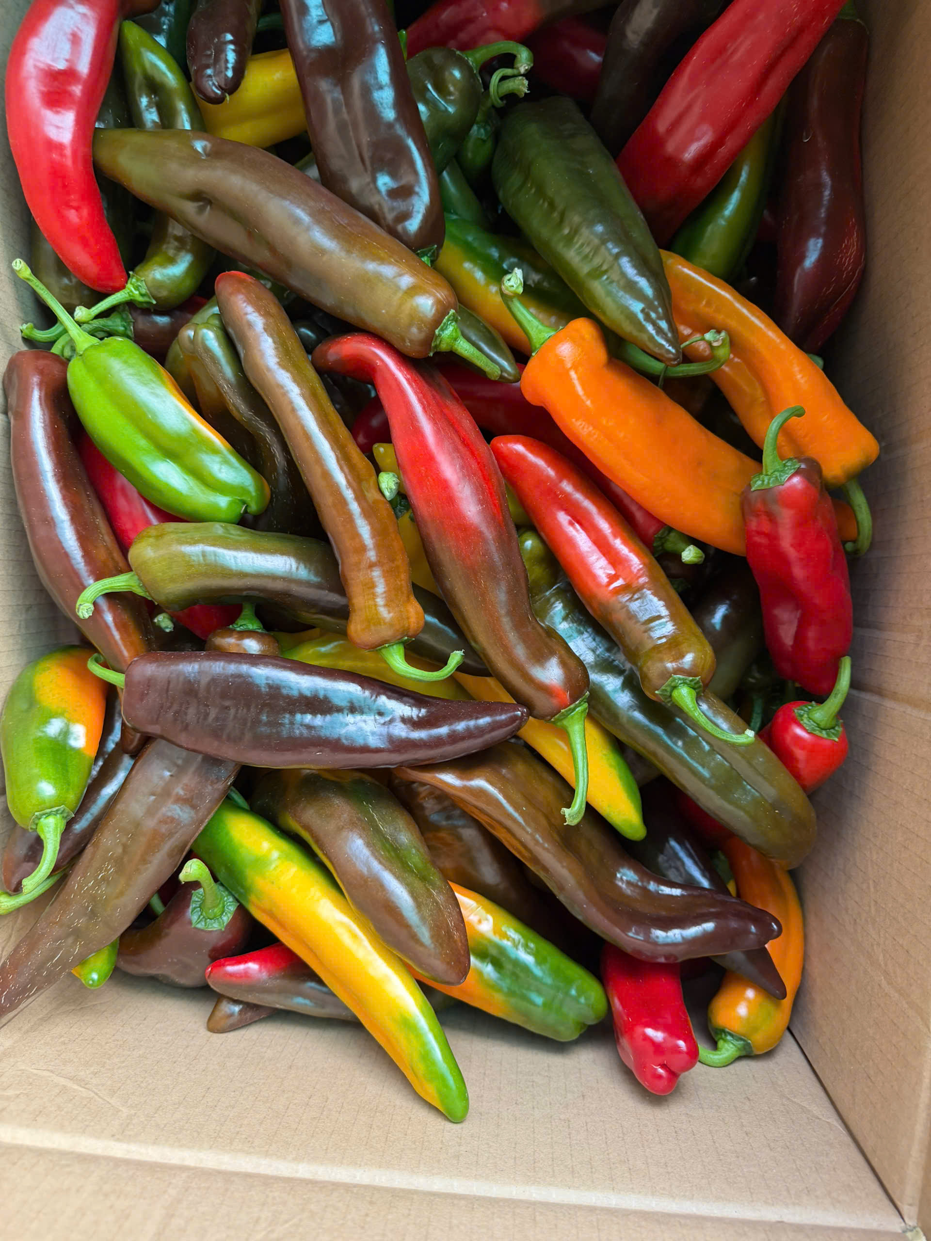 z7612162884743_e7c4c268f4456724a3f67599dbe06948