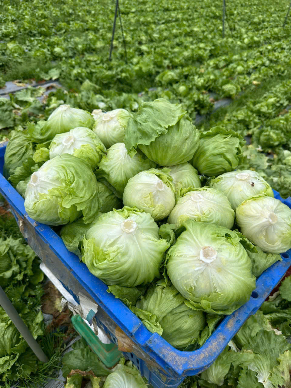 z7612174324503_baddc8ec366d2a15a2473ad122c439f5