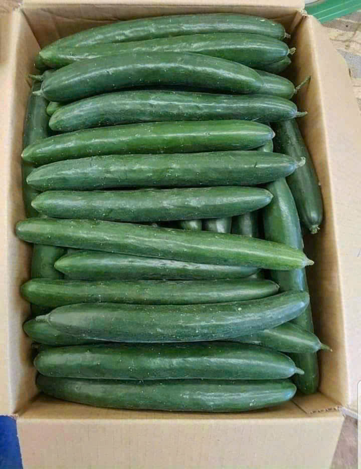 z7612186413552_dc8f1684b94b00fc6813ff016d578e08