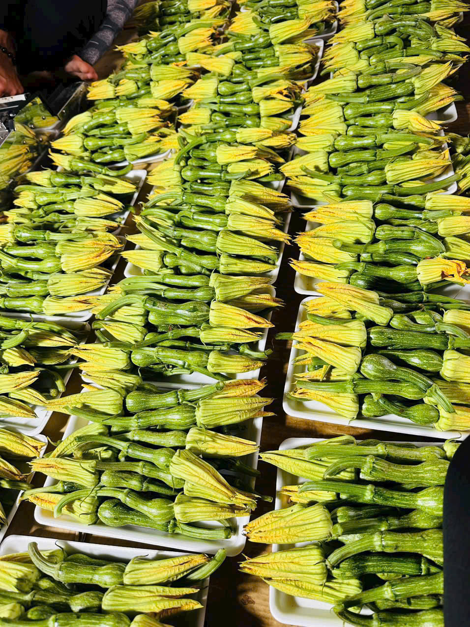 z7612186413569_99baf1652343c2556f3f07f6ec192653