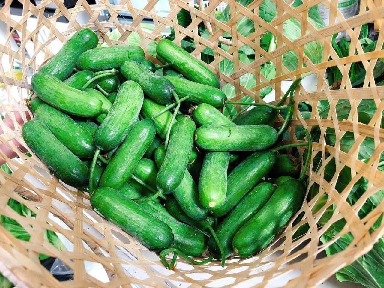 z7612186413576_8d6af39076e88287517414a3e0ca8ac2