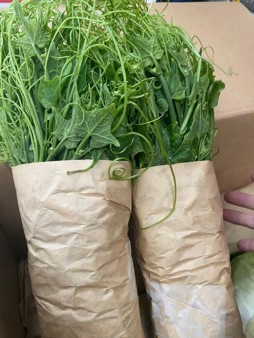 z7612186413580_673e3fb007869e4bf9cb12f53f51e331