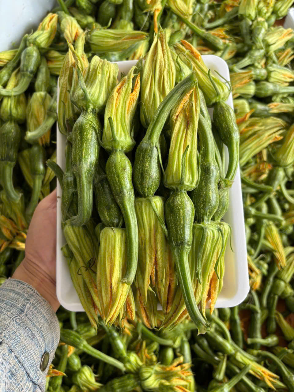 z7612186413583_d290cb5d8d2ead84bf24929ce8408e28