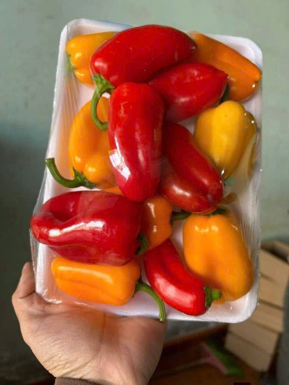 z7612186413584_257e63b97f5f3483c6683511f200b6b9