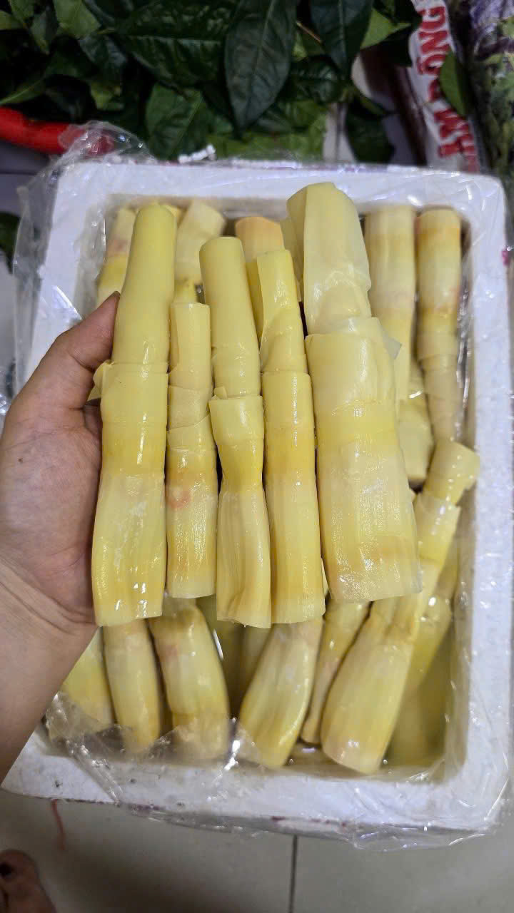 z7612186428830_e120b4764a8c137dec84c5f59a6f6d79